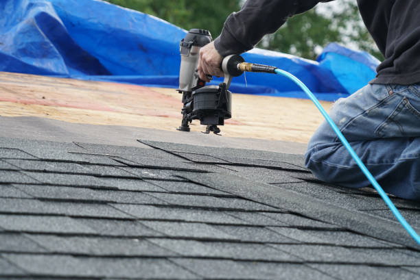 Roof Gutter Cleaning in Southside, AL